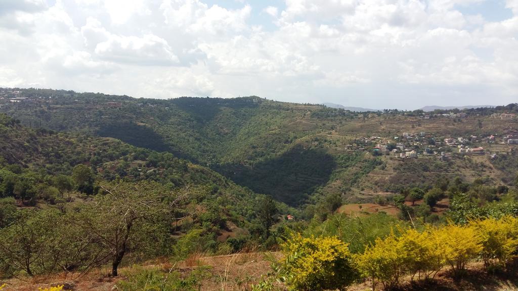 Hill Top Villa Panchgani Zewnętrze zdjęcie